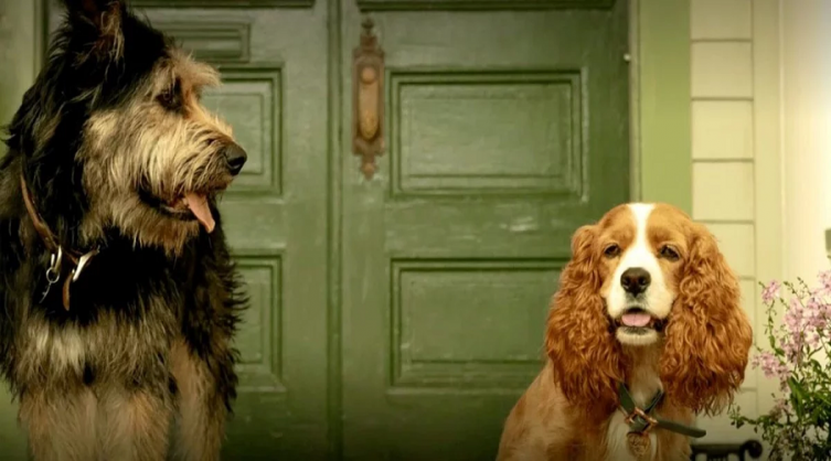 Dos perros adorables en la remake de la película 