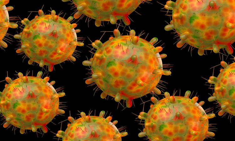 La mononucleosis infecciosa también provoca cuadros febriles. Es causada por el virus de Epstein Barr y pertenece a la familia de los virus herpes (Getty Images)