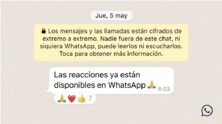 Hay 6 reacciones disponibles en el servicio de mensajería. Cómo desactivar las reacciones de WhatsApp (Foto: WhatsApp - Infobae)