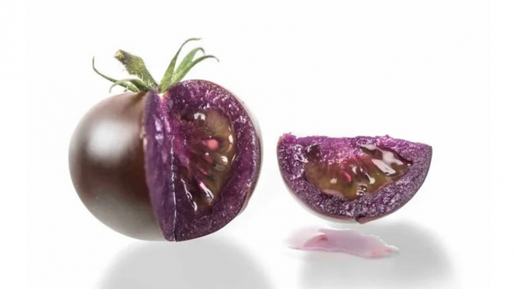 Estados Unidos autorizó la venta de tomates violetas genéticamente modificados - Infobae