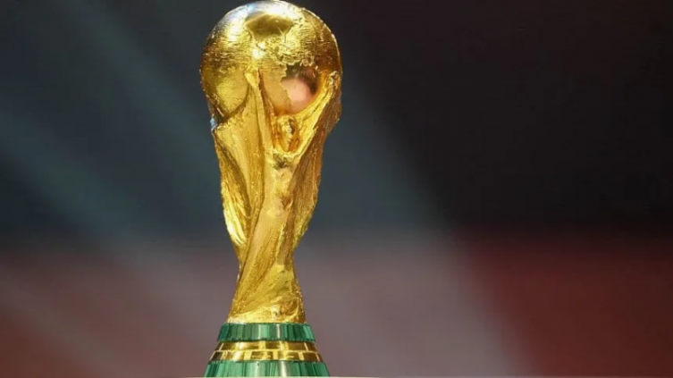 Todos los clasificados y eliminados del Mundial de Qatar 2022 - TyC Sports