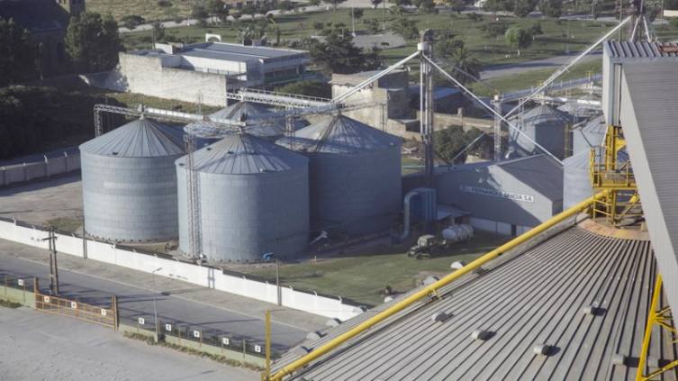 Efecto sequía: Argentina pierde un liderazgo de 25 años como exportador mundial de harina de soja - Agencia Noticias Argentinas NA
