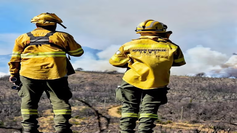 Cuál es el daño ambiental de los incendios en el Parque Nacional Los Alerces (@pn_los_alerces)