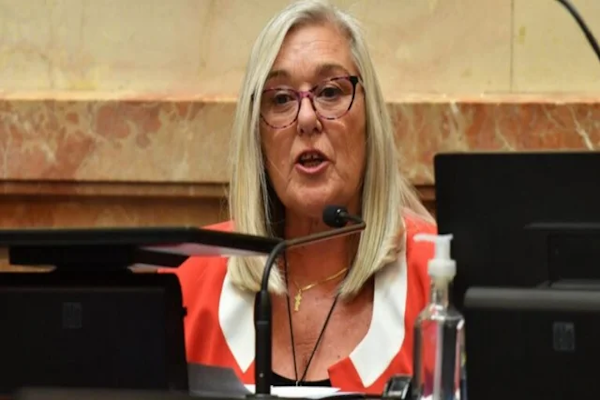 La senadora nacional del bloque Cambio Federal Edith Terenzi denunció amenazas en su contra. - NA