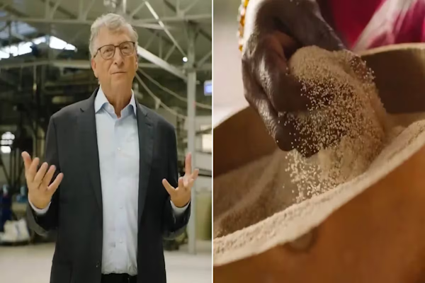 Bill Gates encontró la solución para la desnutrición mundial: mira el secreto del grano africano - Infobae
