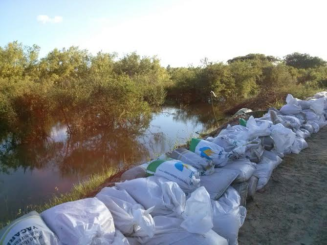 Crecida del Río Paraná - Defensas