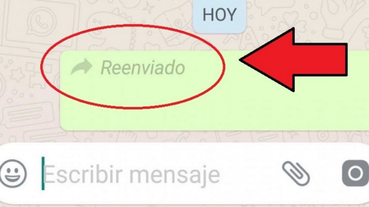 Mensaje reenviado en WhatsApp. (foto: Unocero)