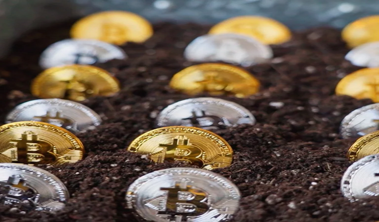 La biocriptoenergia buscar promover el uso de energía limpia en el minado de criptomonedas (Cortesía de CryptoGranjas)