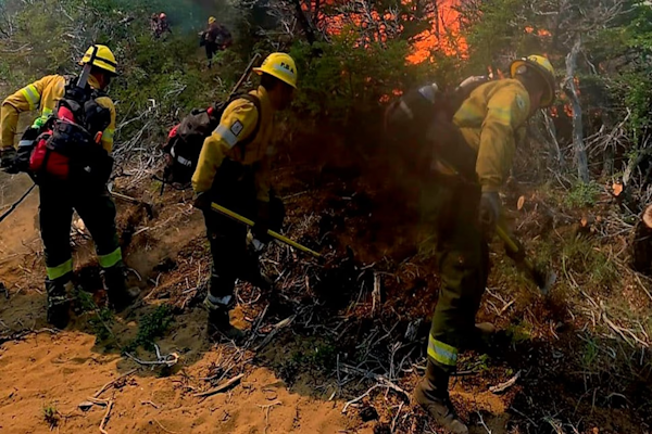Salta: incendio forestal en Cafayate ya consumió cerca de 200 hectáreas. - Fotografía Noticias Argentinas.