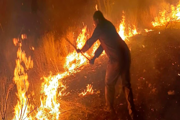 España registra incendios forestales en medio de la ola de calor. - Fotografía Noticias Argentinas.