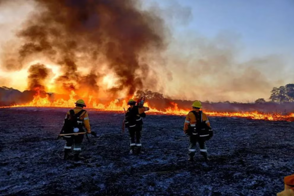 Cortes de luz, caída de árboles y destrozos: lo que dejó el viento zonda en Jujuy (Fuente: Somos Jujuy)